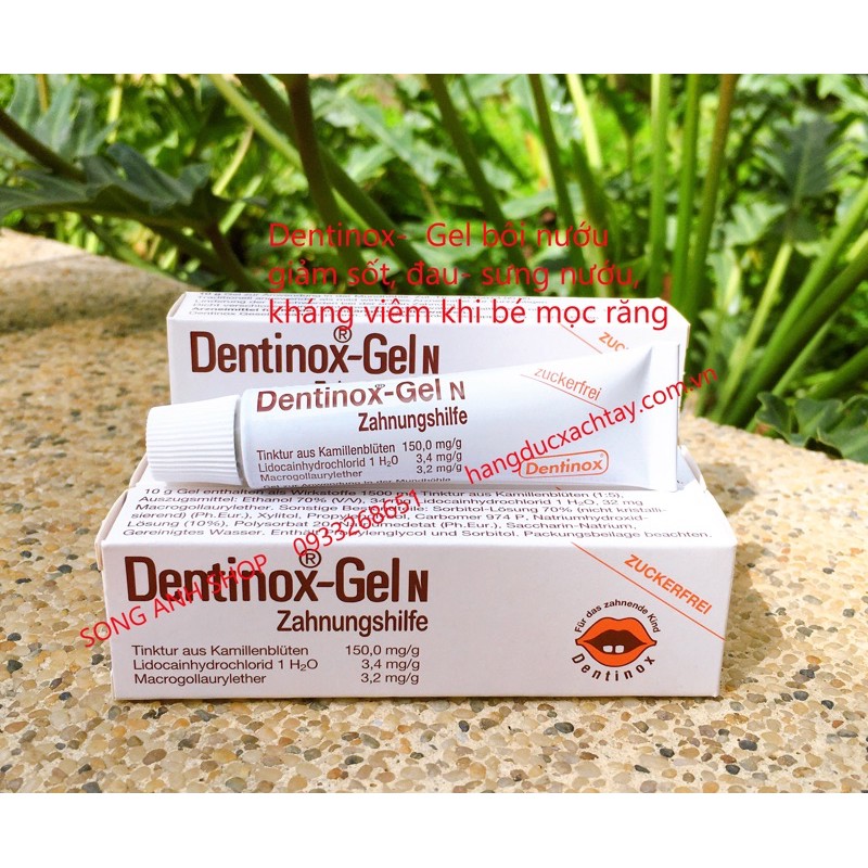 Gel Bôi nướu (lợi) Giảm Đau, sốt Khi Bé Mọc Răng Dentinox Gel N