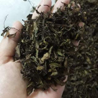 200g LÁ ĐINH LĂNG làm gối cho bé, pha trà