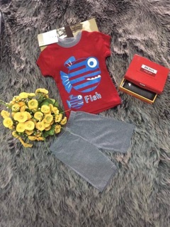 Combo 4 bộ bé trai carter