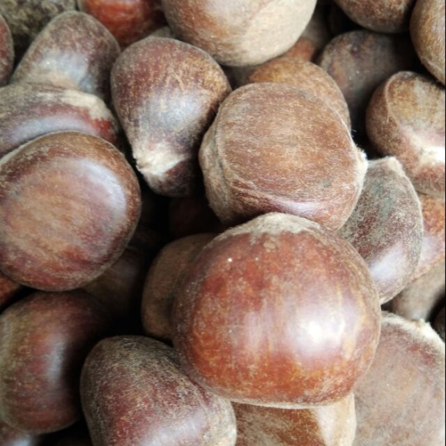 Hạt dẻ 1kg