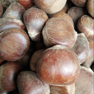 Hạt dẻ 1kg