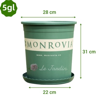 Chậu monrovia 5gl hàng nhập chính hãng Trung Quốc