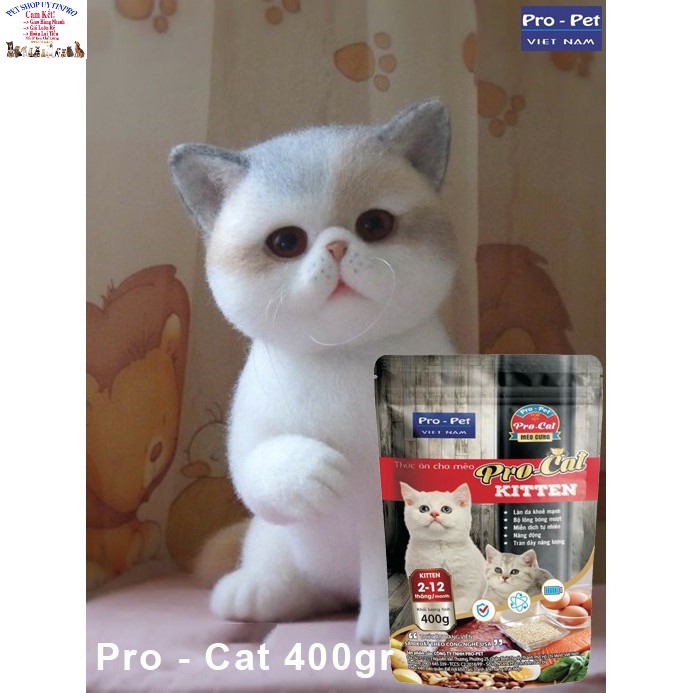 3 Gói Thức ăn hạt cho Mèo con PRO-CAT KITTEN Gói 400g Xuất xứ Pro-Pet Việt Nam Bổ sung dinh dưỡng hoàn chỉnh cho Mèo