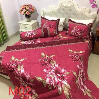 bộ chăn ga gối phủ trần bông[ 1m6 x 2m, 1m8 x 2m, 2m x 2m2 ]