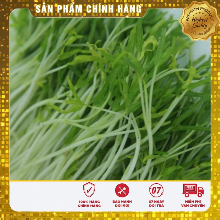 Hạt Giống Mầm Rau Muống ( 50 gram )