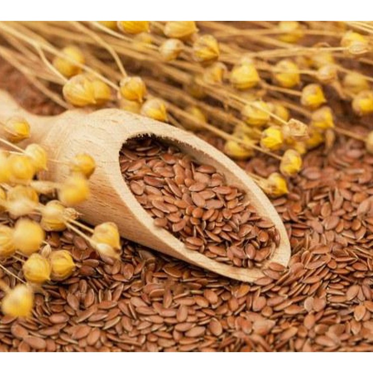 [Mã GROSALE2703 giảm 8% đơn 250K] Hạt lanh hữu cơ Probios 500g - Organic Italian Golden/Brown Flax Seeds