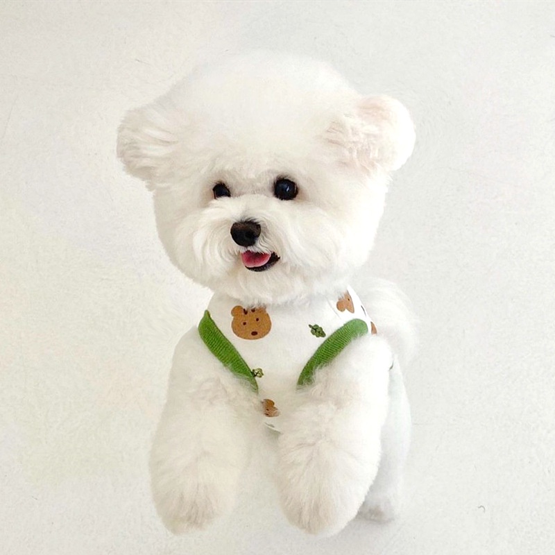&lt;cutepethome&gt;Áo Thun Dễ Thương Cho Thú Cưng