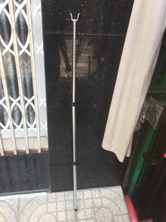 Cây lấy đồ