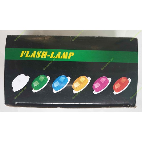 Combo Đèn Chớp Rùa Trang Trí Ngoài Trời Trong Nhà