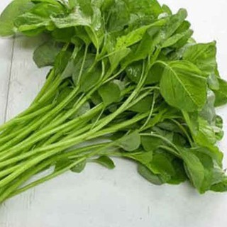20g Hạt giống Rau Dền xanh