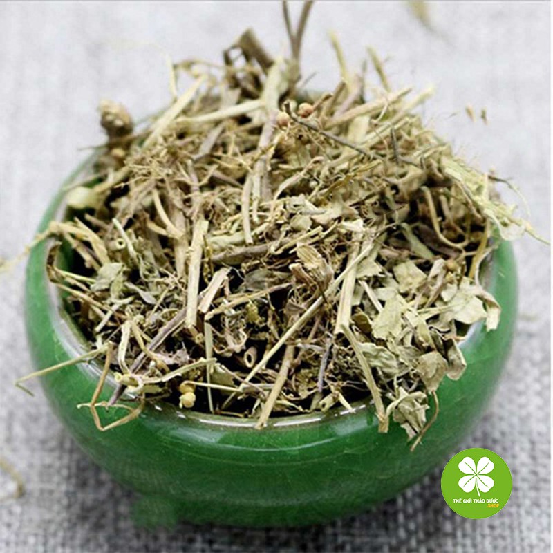 Diệp hạ châu (gói 1kg khô) - TD038