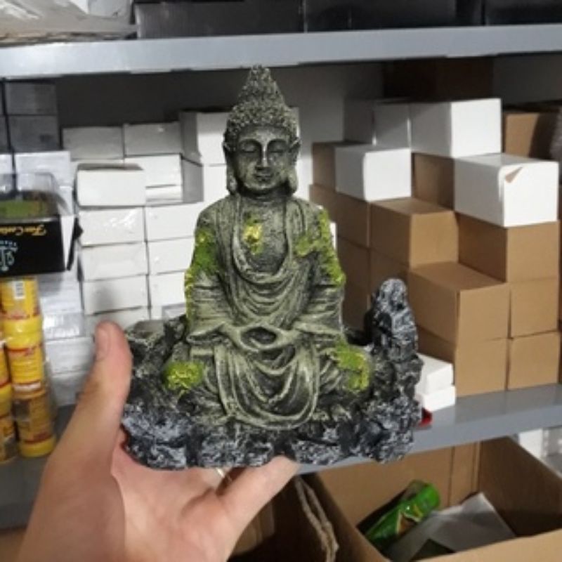 Trang trí tiểu cảnh hồ cá