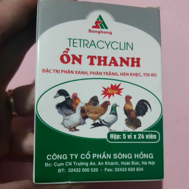 Viên Ổn Thanh Sóng Hồng 24 viên/ vỉ