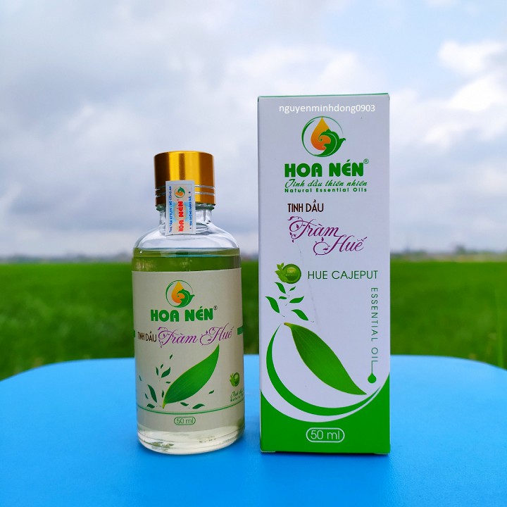 Tinh Dầu Tràm Huế nguyên chất 100% - đuổi muỗi và giữ ấm - 50ml