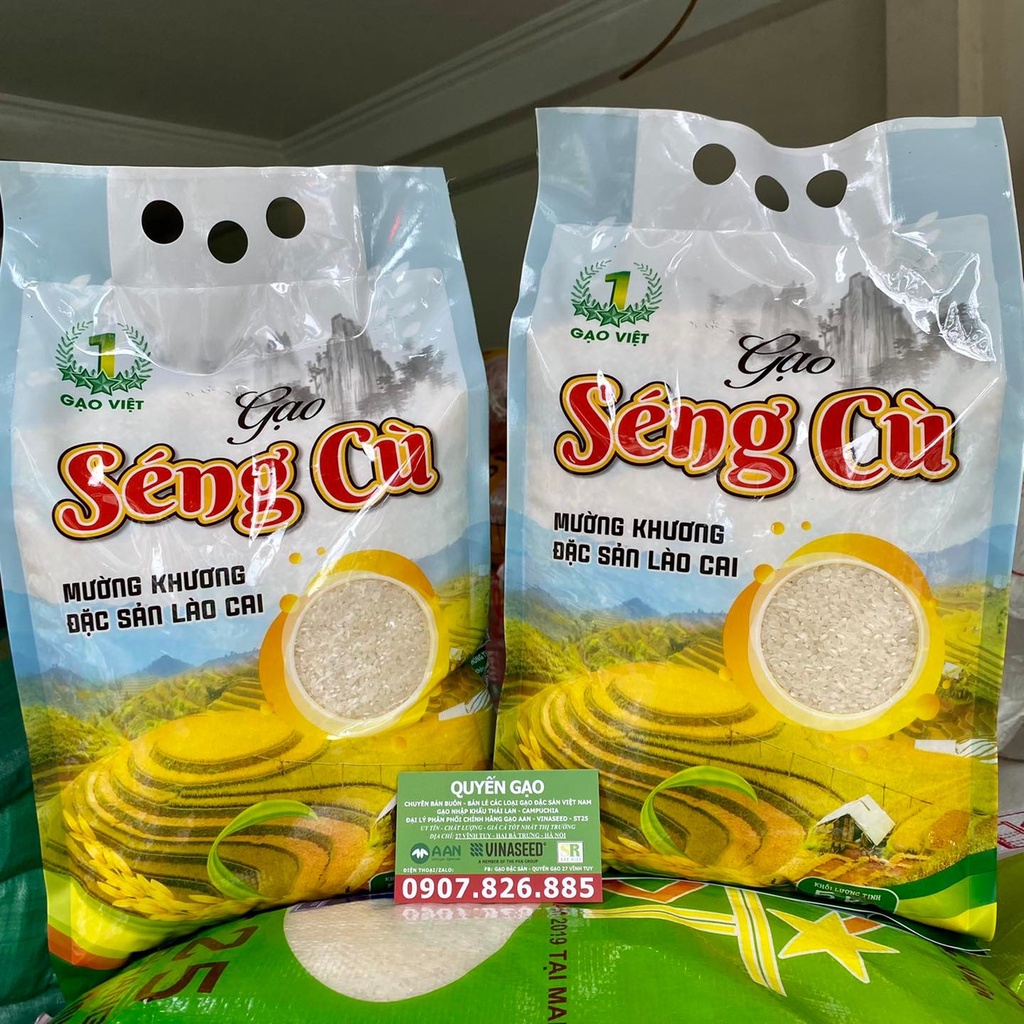 SÉNG CÙ HẠT TRÒN