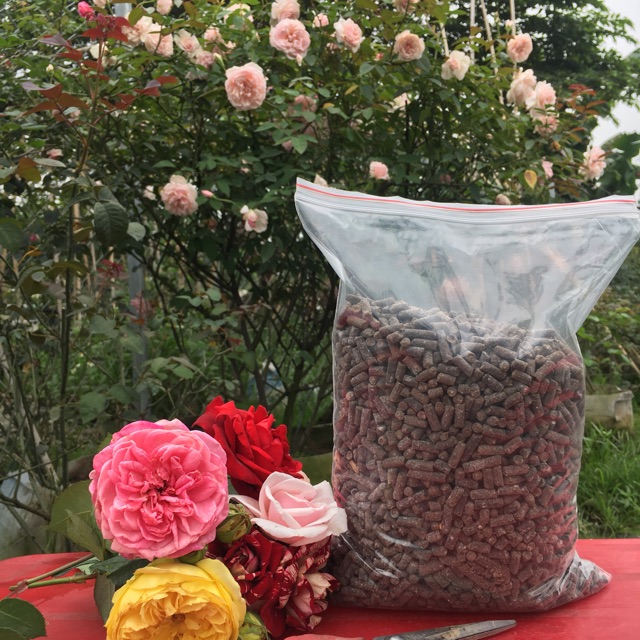 Phân bón hoa hồng Hữu cơ Nhật Bản Cao cấp  Hakko Japan 1kg