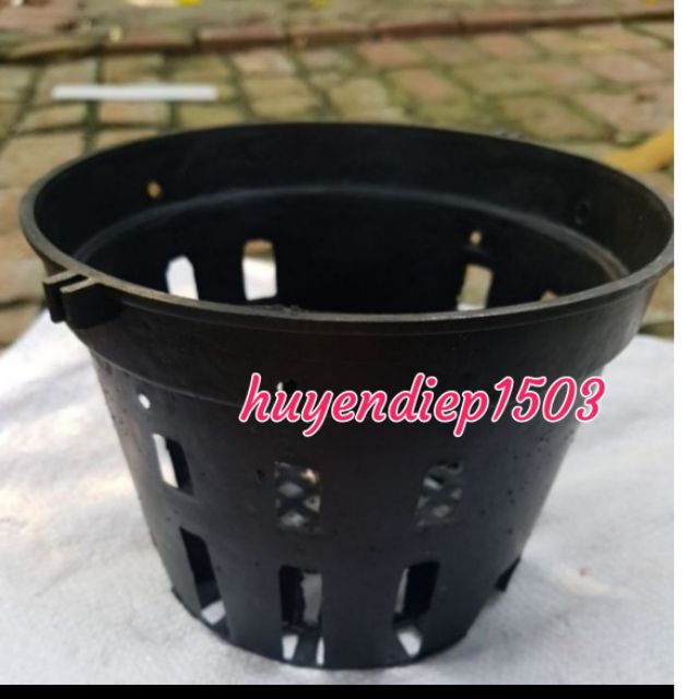 10 Chậu trồng lan rộng 12cm