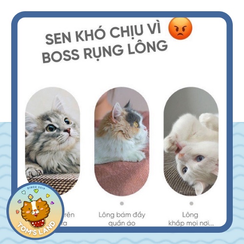 Cây lăn lông chó mèo - Lăn tĩnh điện hút lông thú cưng làm sạch giường chăn đệm