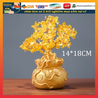 Cây tài lộc phát tài lộc đế vàng trang trí ngày tết phát lộc cây kim tiền