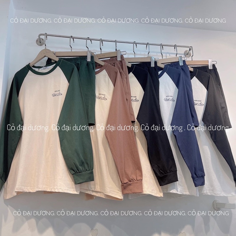 Bộ Áo Thun Pha Tay Thu Đông Kèm Quần Đùi Unisex 🦋 Set Quần Áo Dài Tay Dáng Thể Thao 3 Màu Ullzzang🦋