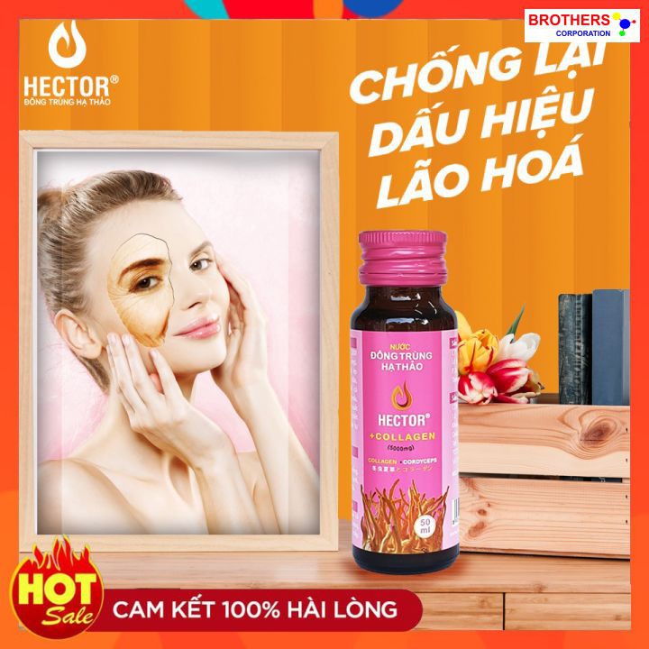 [Gói trải nghiệm] [Hỗ trợ freeship] Nước Đông Trùng Hạ Thảo Hector Collagen (02 chai Collagen x 50ml) | BigBuy360 - bigbuy360.vn