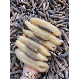 Hải Sâm Úc khô ( size 100g )