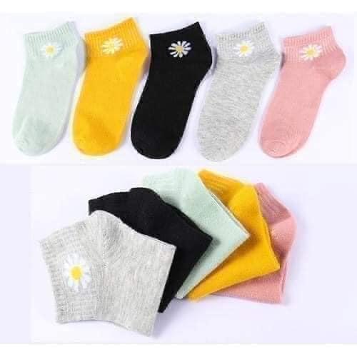 Combo 10 đôi tất hoa cúc cho nữ