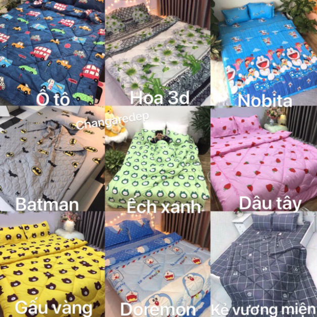 Bộ 1 Ga chun và 2 vỏ gối Cotton poly, chat chọn mẫu. | BigBuy360 - bigbuy360.vn