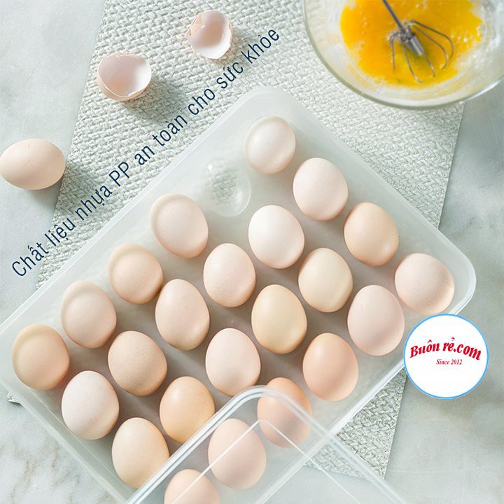Hộp đựng trứng 24 quả có nắp đậy nhựa Việt Nhật (6786), khay bảo quản trứng không bị vỡ chắc chắn -Buôn rẻ 01229 | BigBuy360 - bigbuy360.vn