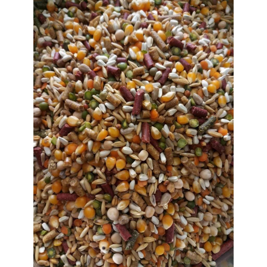 Ngũ cốc gà đá Mỹ 2 con gà túi 2kg3