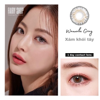 Lens 1 Ngày Wannabe Gray 0 - 6 độ - FAIRY SHOP CONTACT LENS