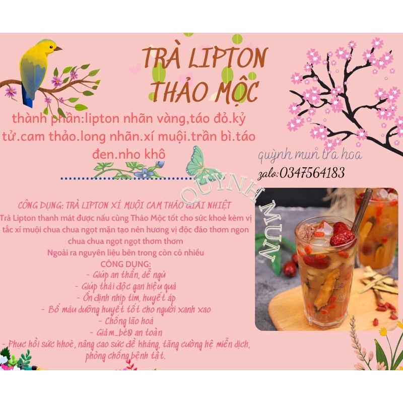 TRÀ LIPTON THẢO MỘC MIX SẴN VI