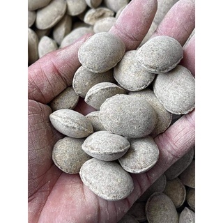 1KG Phân Tan Chậm Hạt Bàng Nhật Nurseryace 12-6-6 Cho Lan và Cây Cảnh