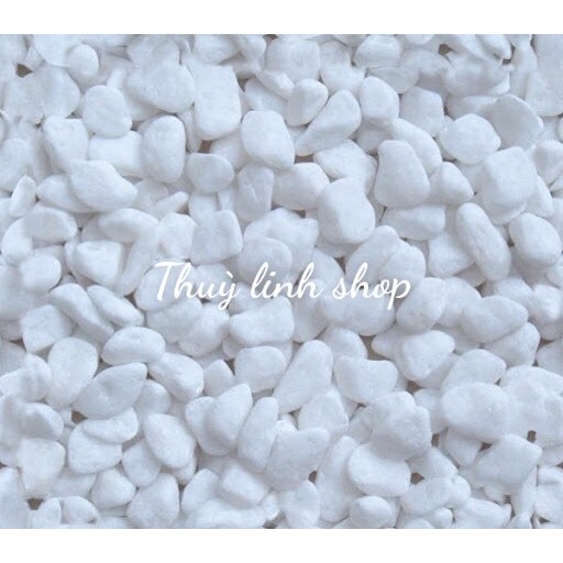 Sỏi trắng, trang trí bể cá, chậu cảnh, tiểu cảnh sân vườn -1kg