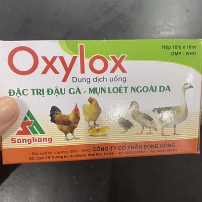 1 lọ Oxylox Đậu gà, viêm loét ngoài da, chảy nước mắt