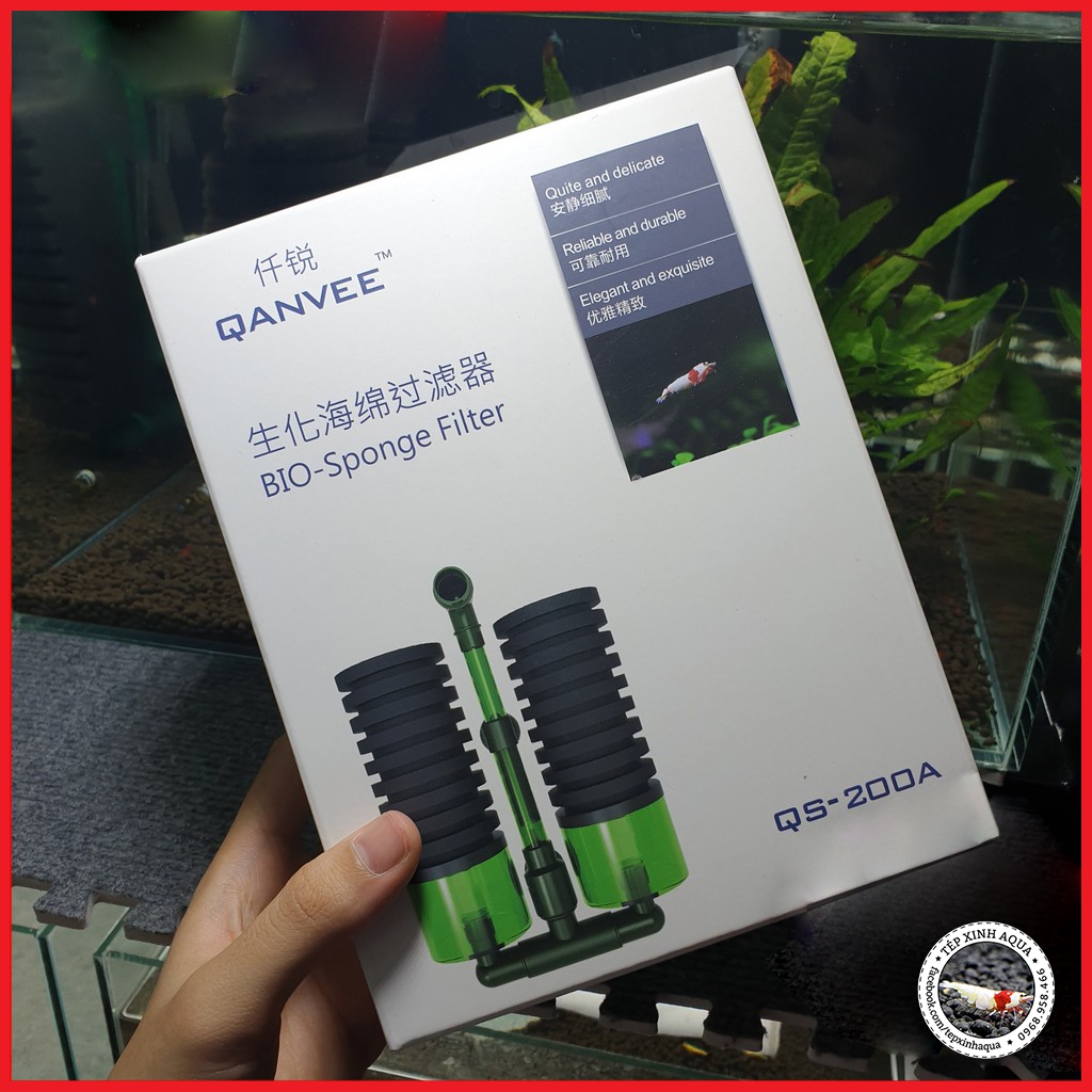 - Lọc Bio đôi sủi vi sinh cho bể tép cảnh QS200, QS200A - Tép Xinh Aqua