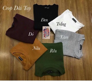Áo len gân croptop dài tay