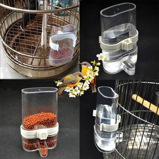 Cóng đựng thức ăn , nước uống cho chim