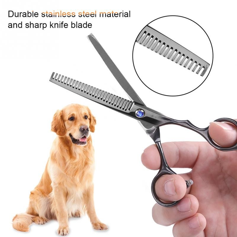 Bộ dụng cụ cắt tỉa lông cho chó