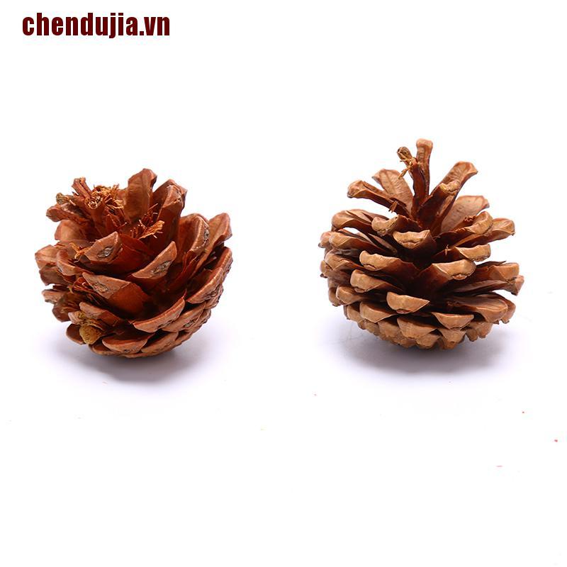 Bộ 50 phụ kiện thực vật nhân tạo dùng trang trí Halloween