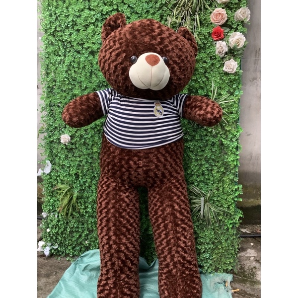 gấu teddy cao thực tế 1m70cm cam kết kich thước chuẩn