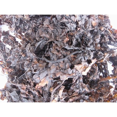 rong mơ khô- rong biển khô- hải thảo- sâm rong biển- rong mơ 500G