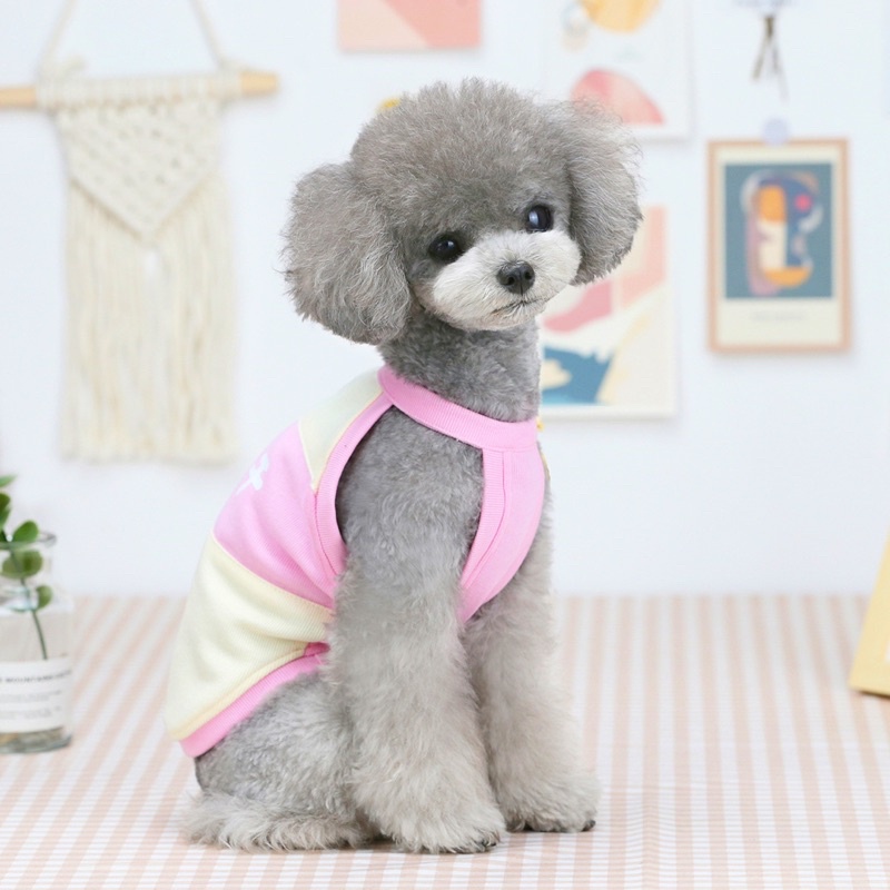 Áo ba lỗ sữa chua cute lạc lối cho cún miu