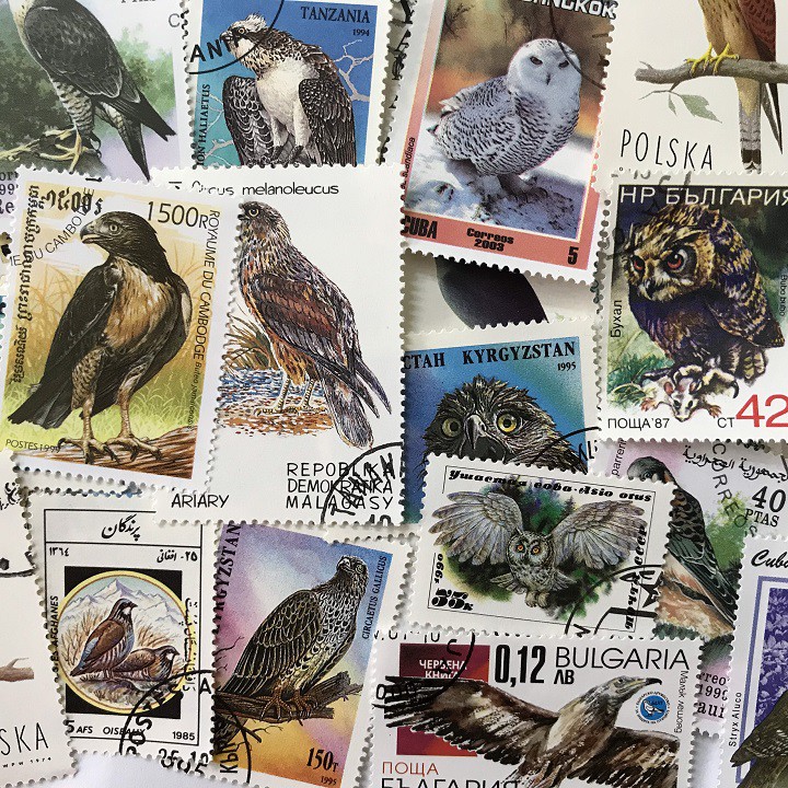 Bộ tem sưu tầm 100 tem chủ đề Chim ; Tem nhiều hình ảnh các loại chim, hình dáng đặc sắc; nhiều kích thước-TEM004