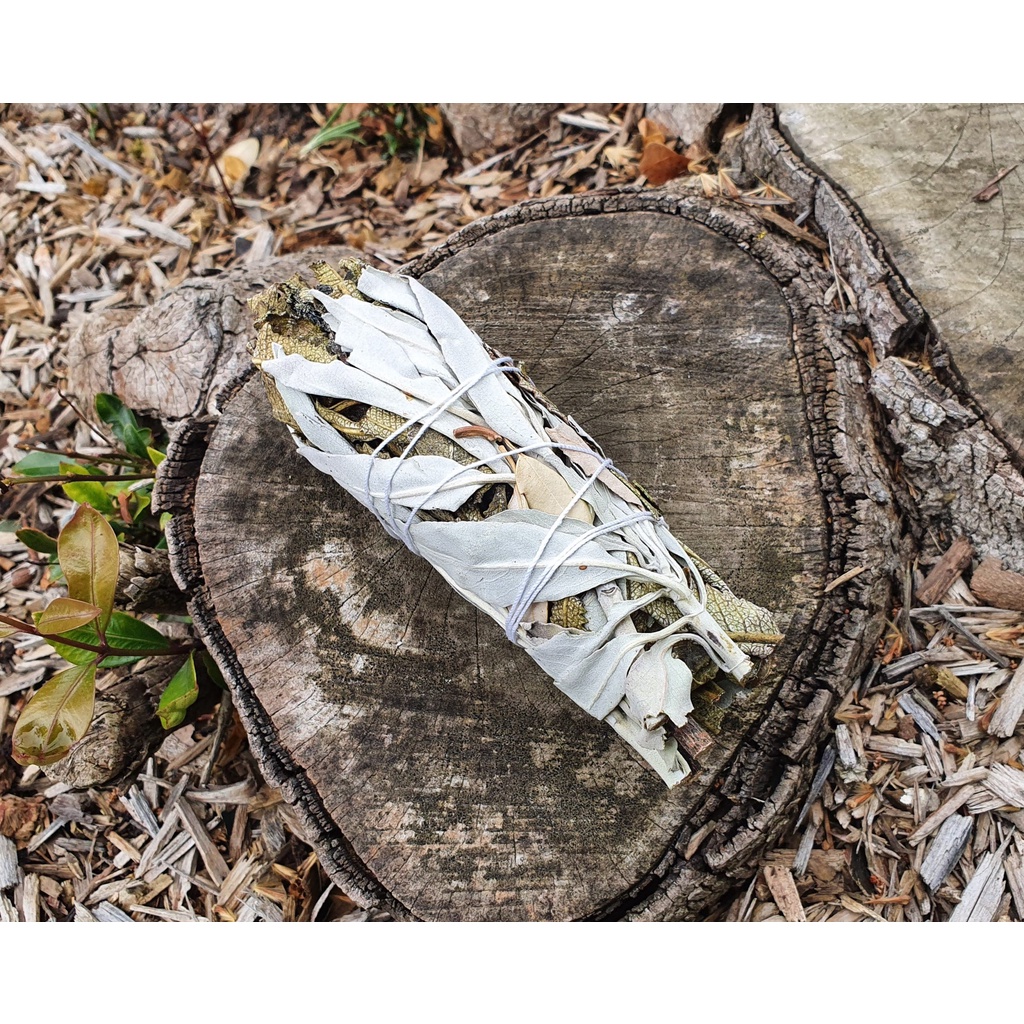 Xô thơm thánh thảo mộc Yerba Santa các loại thanh tẩy nhà cửa (Yerba Santa Sage smudge stick)