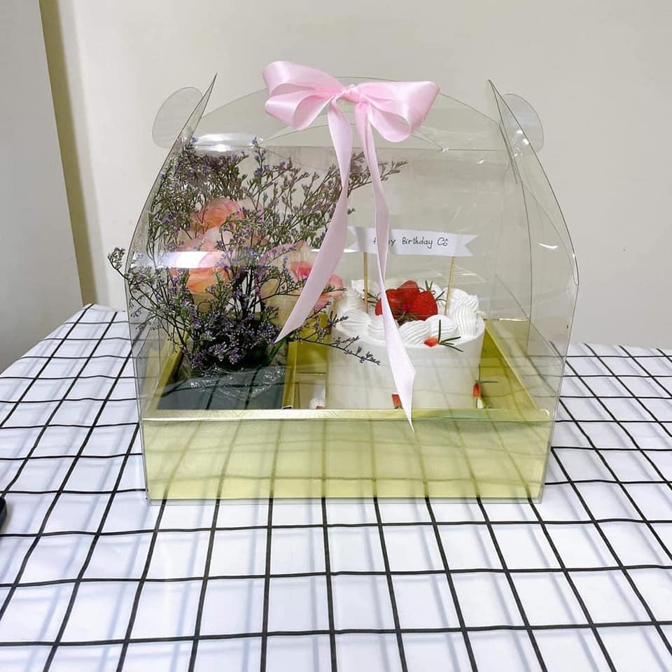 Hộp MICA TRONG VALI  .