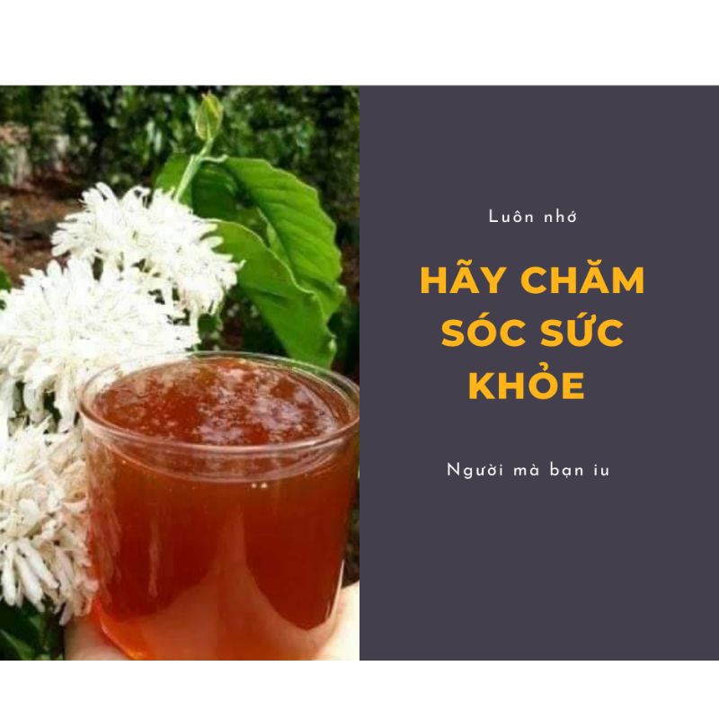 Mật ong nguyên chất hoa cà phê giá vườn 1 lít