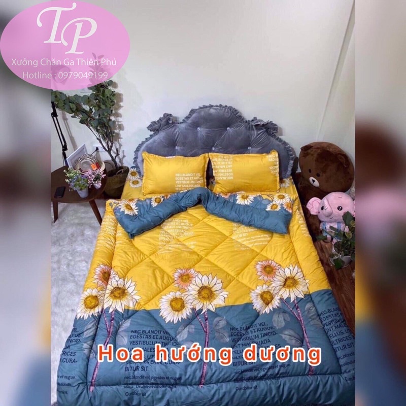 Bộ Chăn Ga Gối 5 Món 1m6/1m8/2m2 Chất Liệu Coton Poly Chăn Phao Dày Dặn