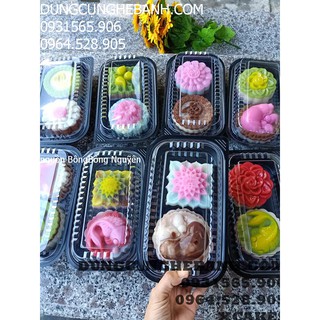 Hộp Nhựa Nắp Trong Đế Đen 21 Cm X 12 Cm X 6.5 Cm Mã Số Ch 501 Set 10 Hộp