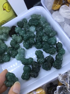 Tỳ hưu mông to